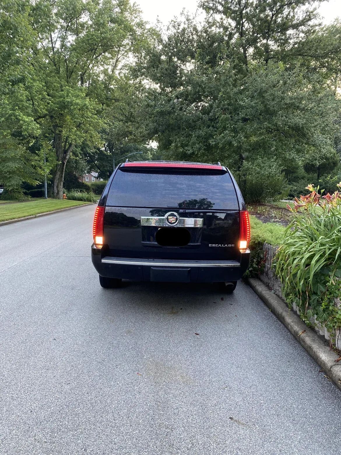 2013 Cadillac Escalade ESV, view